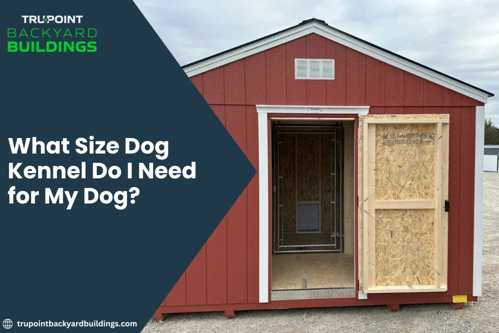 What Size Dog Kennel Do I Need for My Dog